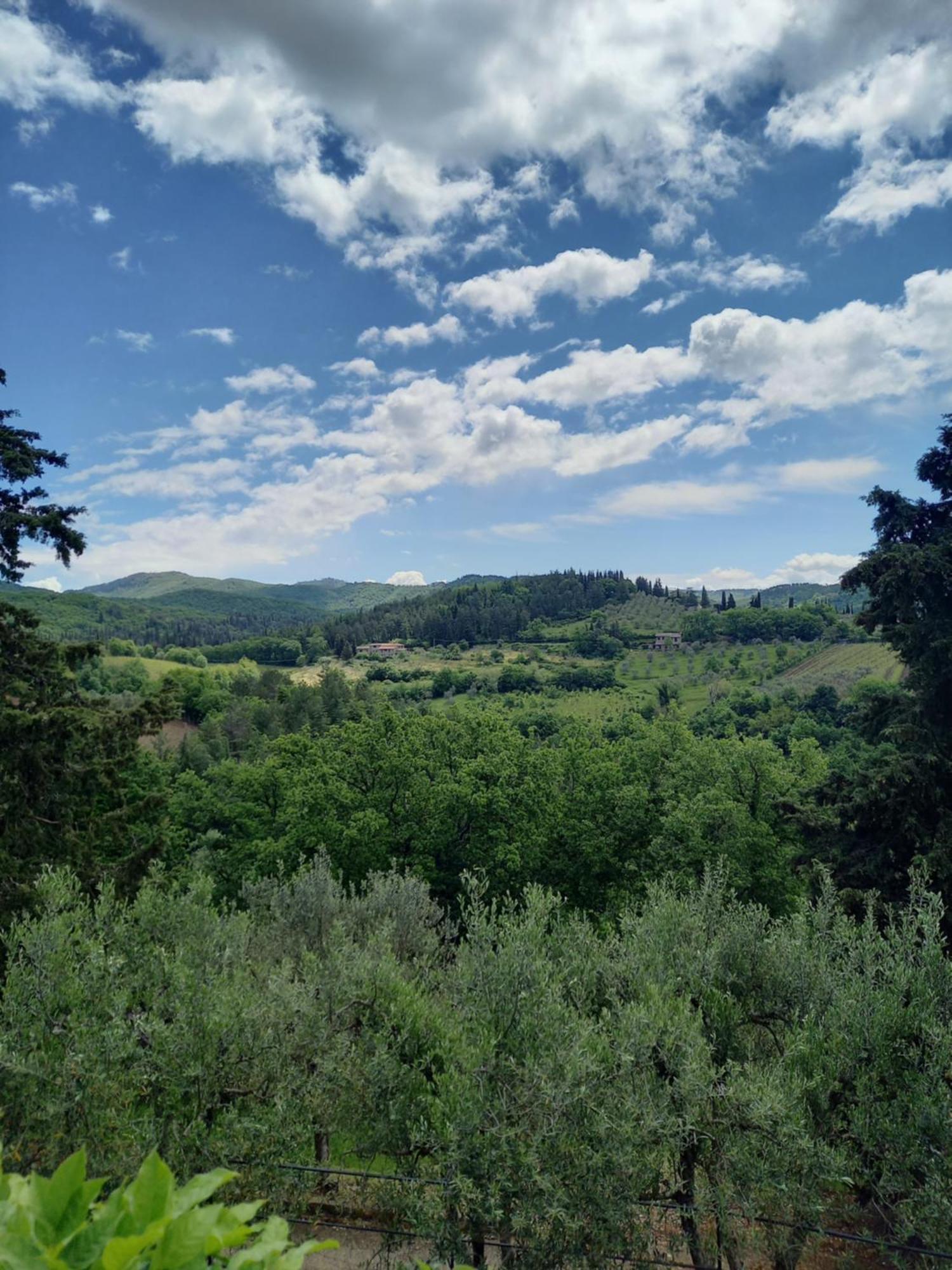Capannelle Wine Resort 카이오레인챠안티 외부 사진